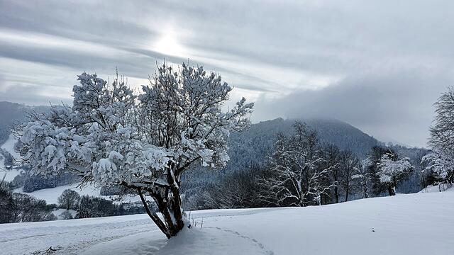 Das Tiefverschneite Pielachtal