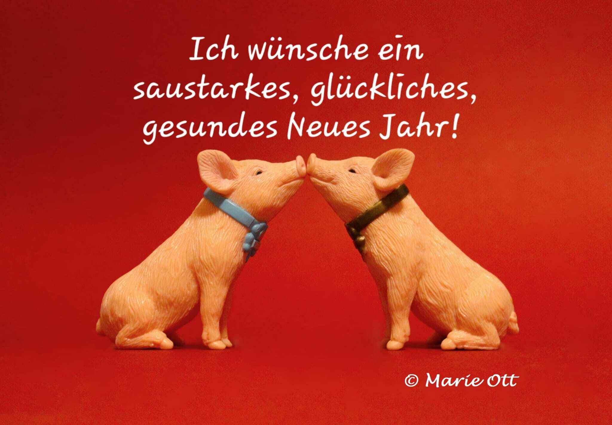 Ich Wünsche Dir Witzig Glückliches Neues Jahr Lustig www.meinbezirk.at