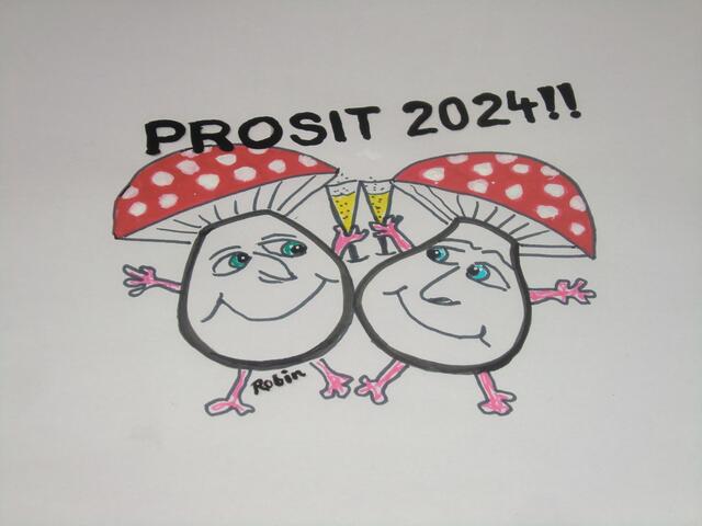 Wenn’s alte Jahr erfolgreich war, dann freue dich aufs Neue
und war es schlecht, ja dann erst recht. (Albert Einstein)