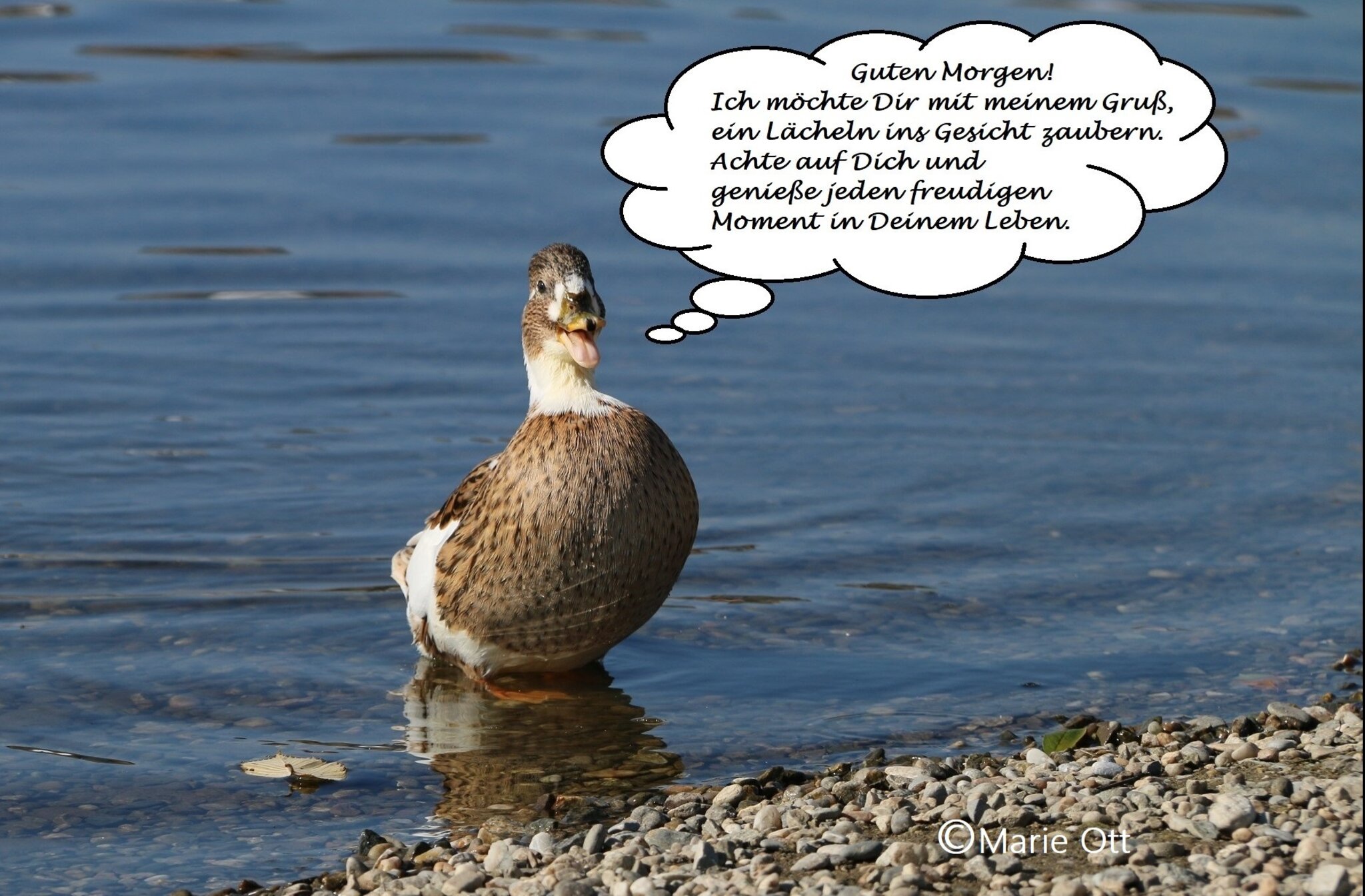 Guten Morgen, mit einem lieben Gruß!