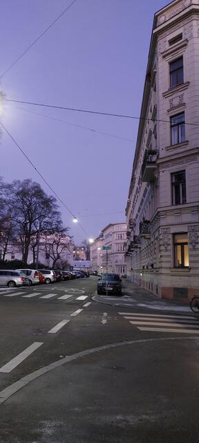 Um 7 Uhr ist es in der Schulgasse noch ruhig. Über die Dächer fliegt eine Krähe mit einem Weckruf. Ein anderer bevorzugt langsameres Aufwachen. Geräuschlos und gut getarnt landete ein Turmfalke auf der Hausfasade rechts. Damit zahlte sich das frühe Aufstehen auch schon wieder aus :). | Foto: Zuzana Kobesova 2024