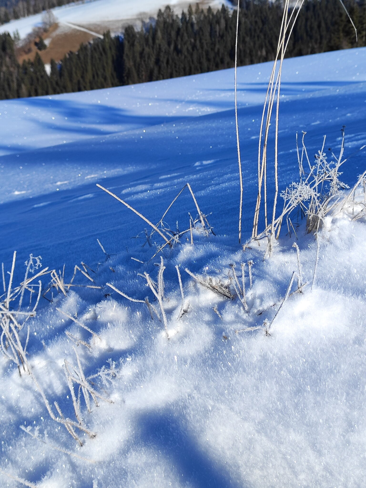 Ich liebe das Glitzern der Schneekristalle...
