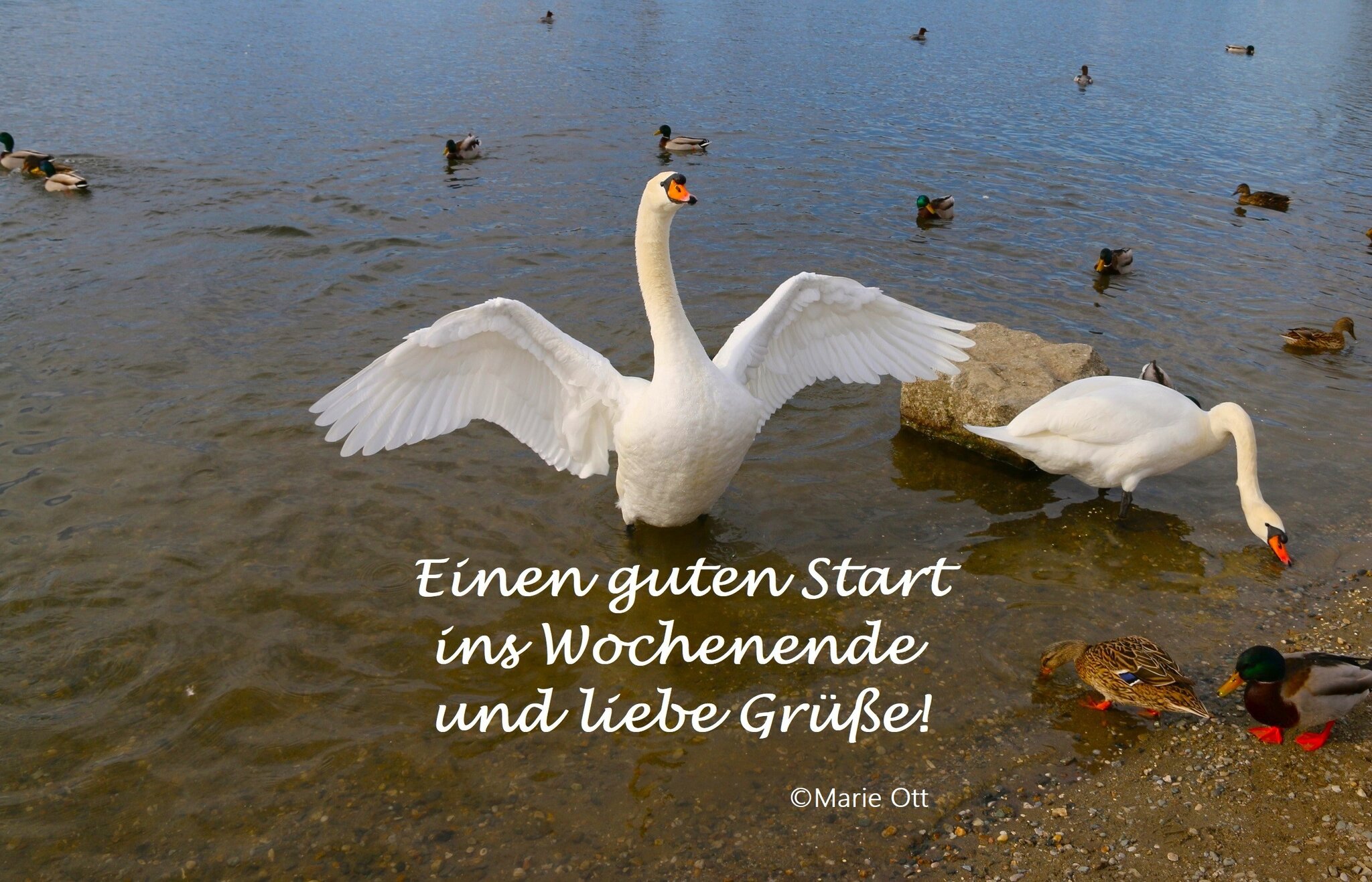 Schnen Start Ins Wochenende Sprche