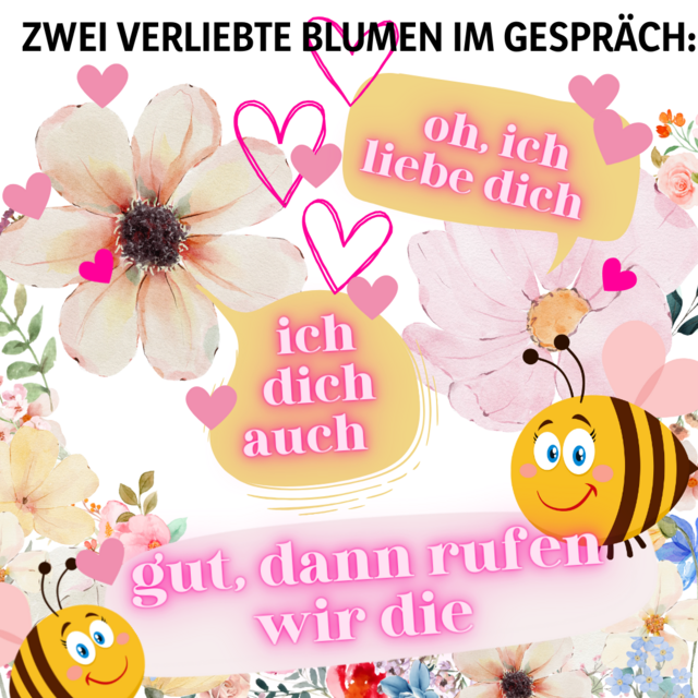 Witz irgendwo aufgeschnappt und mit canva.com visualisiert.  | Foto: Zuzana Kobesova 2024