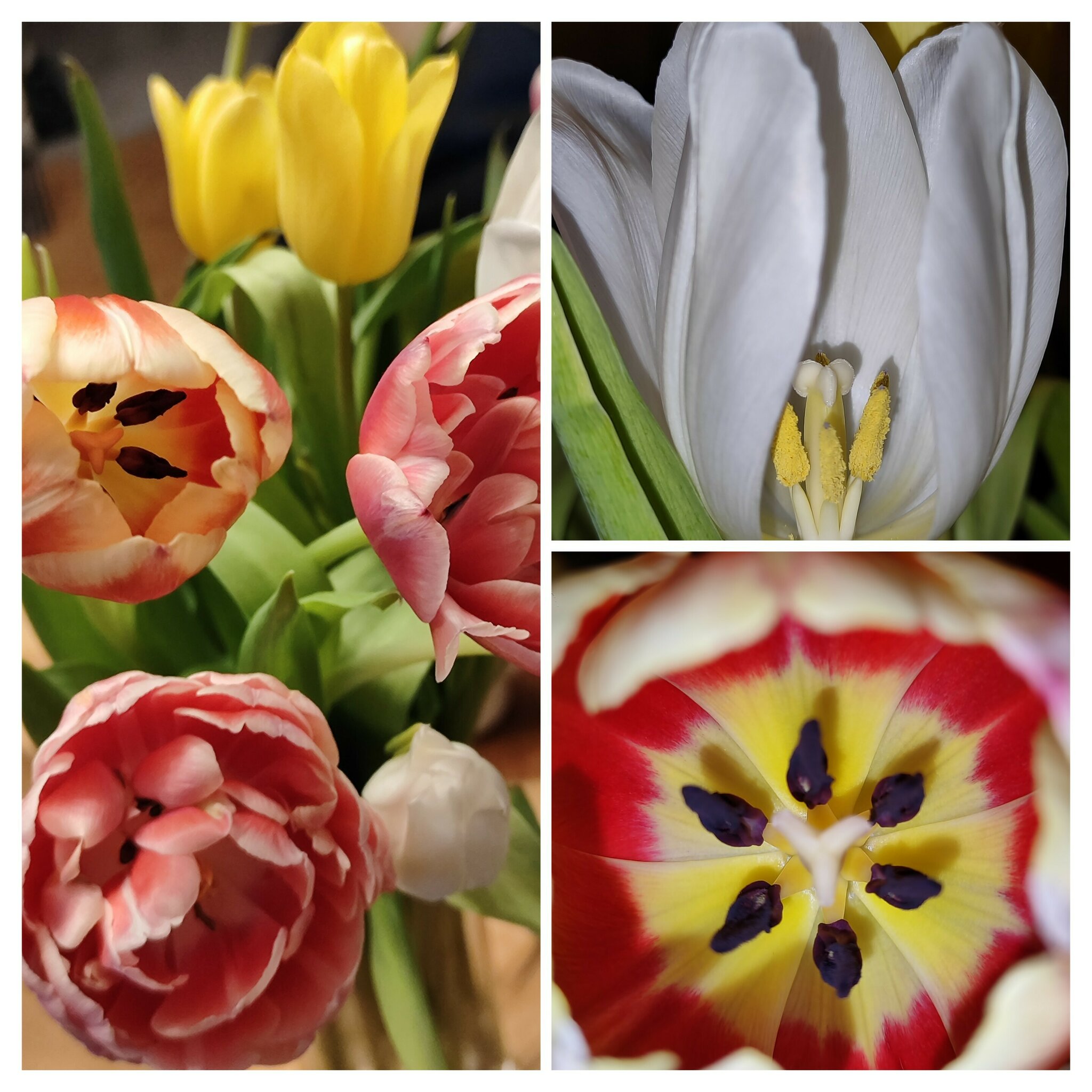 Wie Teuer Ist Ein Blumenstrauß Wie schön so ein Blumenstrauß doch ist....