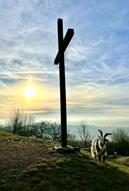 Morgenstimmung am Buchberg 