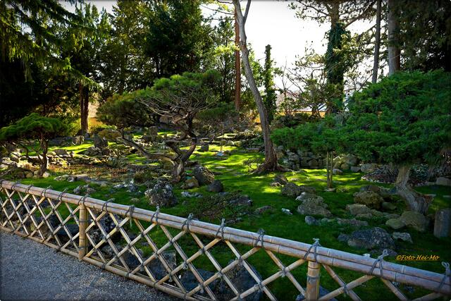 Japanischer Garten in Schnbrunn