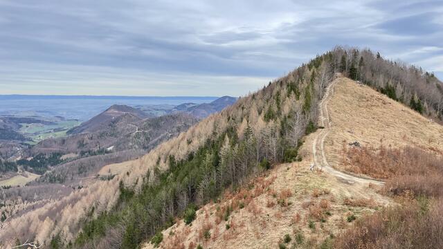 Wanderung Planwipf, Steinkohle und Steinmühlen | Foto: Die2Nomaden.com