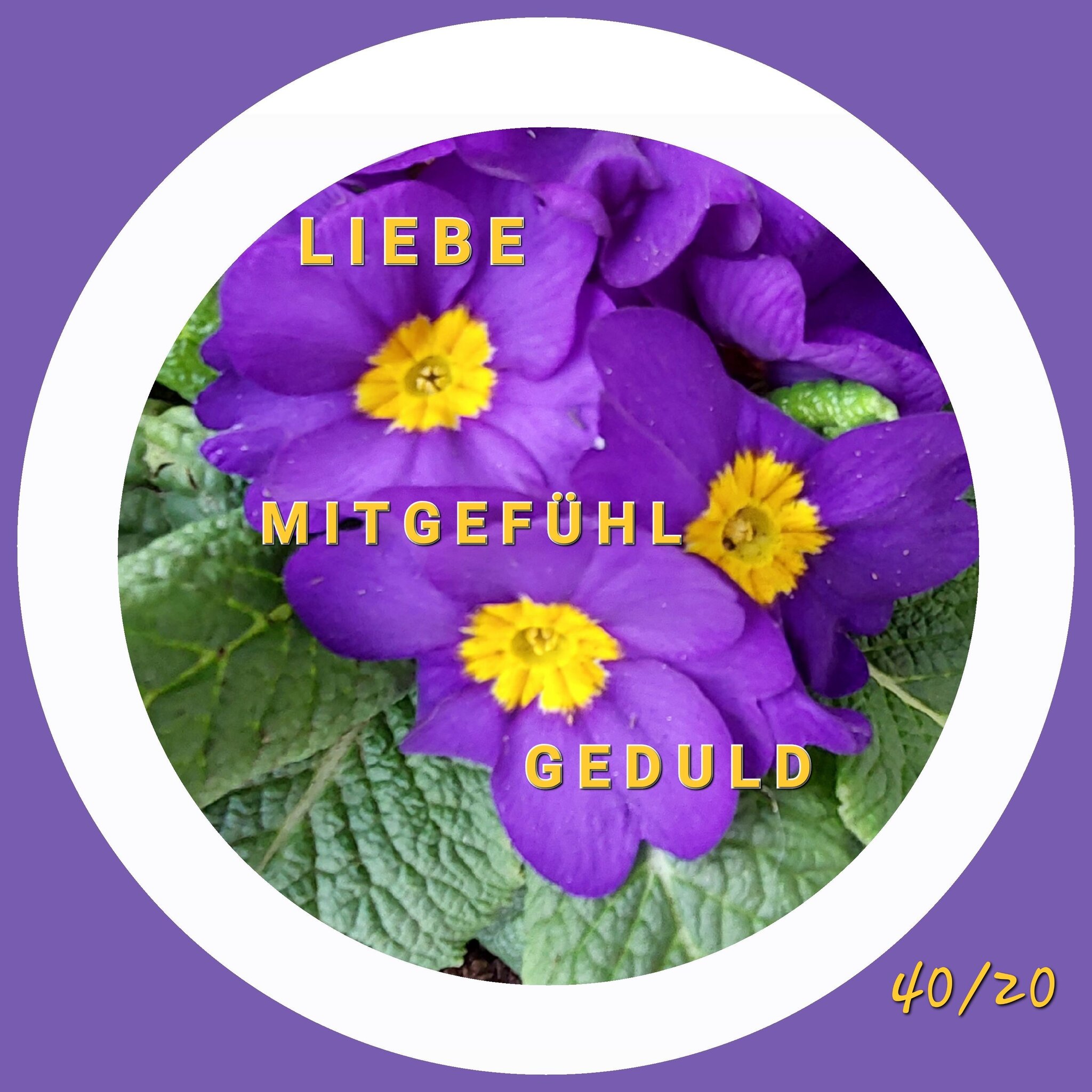 Alle Guten Dinge Sind Drei Bedeutung Aller guten Dinge sind drei...
