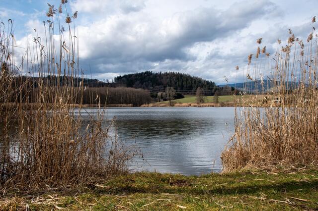Frühlingsgefühle am Hörzendorfer See 