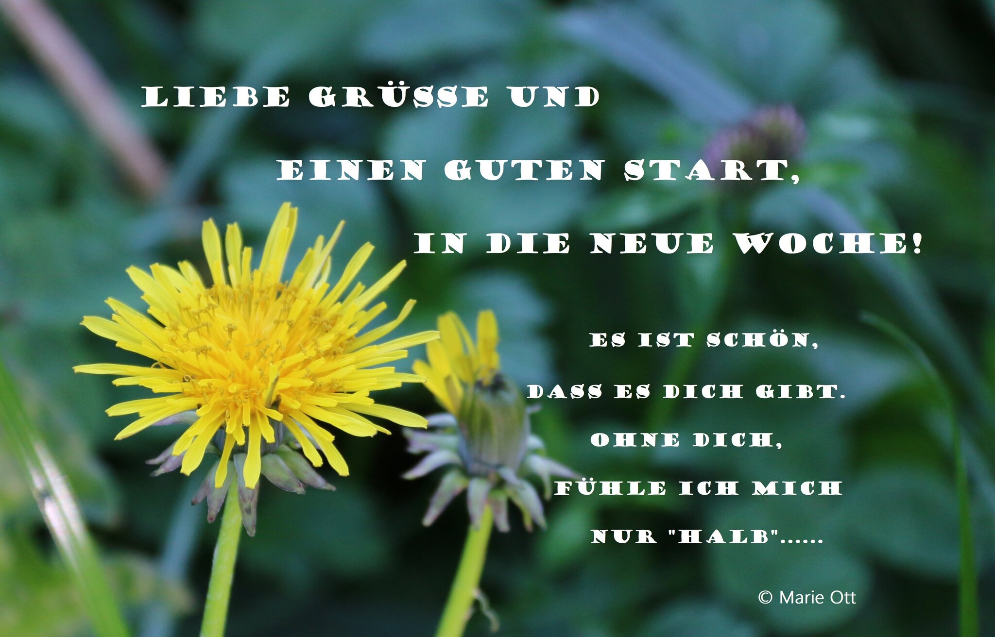 Guten Start In Die Neue Woche Sprüche Liebe Grüße und einen guten Start, in die neue Woche!