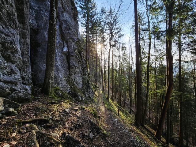 Der Sonne entgegen am Falkenstein runter, Frankenfels | Foto: Christian Hahn