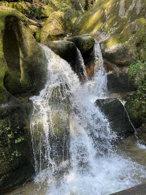 Sprudelndes Wasser in der Wolfsschlucht | Foto: Die2Nomaden.com