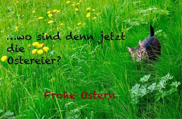 Frohe Ostern 