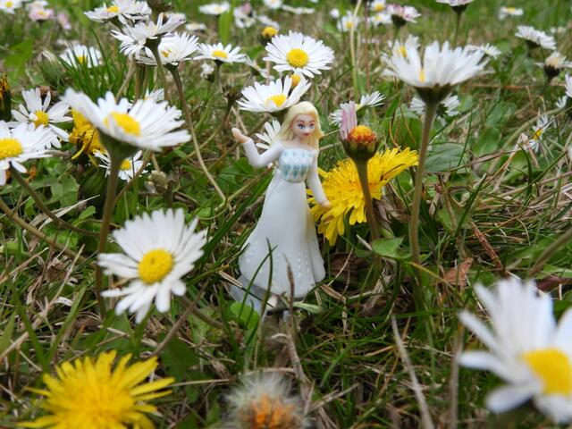 Eiskönigin im Frühlingsgarten - Dank Ostereiersuche mit Überraschungseiern... sie traf auch noch Olaf 😃

 | Foto: Zuzana Kobesova 2024