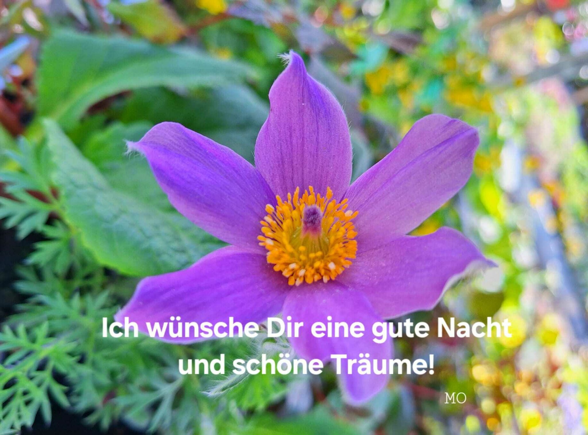 Ich Wünsche Dir Eine Gute Nacht Französisch
