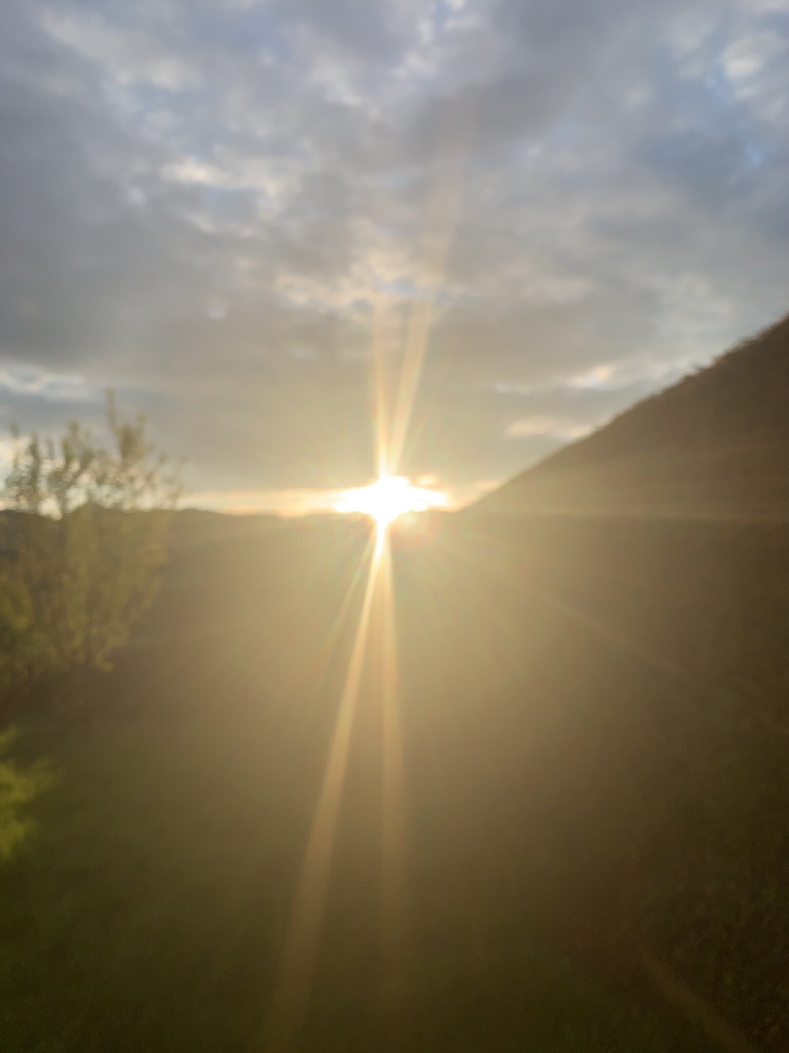Abendstund‘ hat Gold im Mund