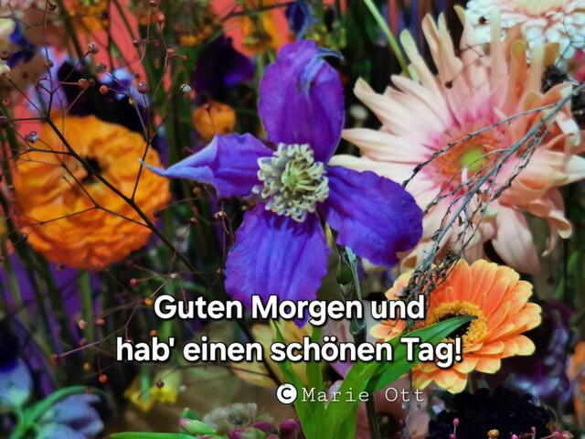 Guten Morgen Und Einen Schönen Tag Italienisch