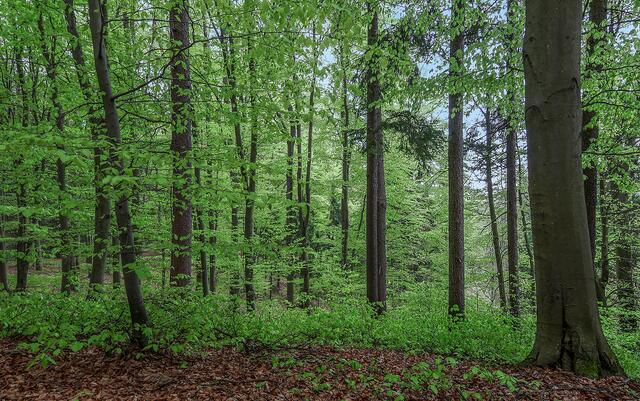 unverkennbar der Frühling