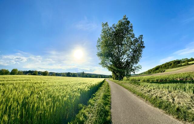 Genieße den Augenblick, denn der Augenblick ist Dein Leben.