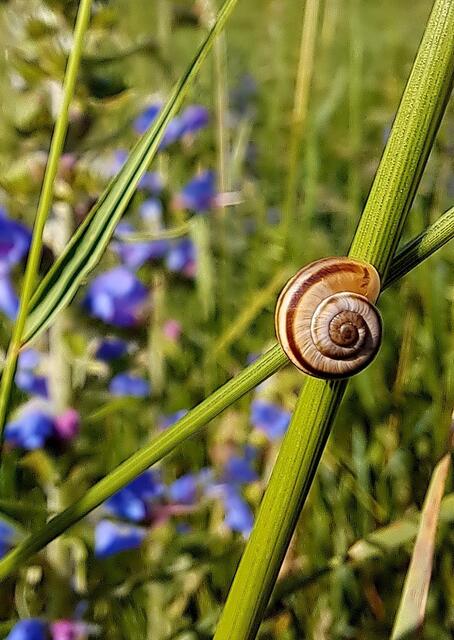 Ich liebe die Schlichtheit dieses Fotos. Beim Laufen stoppen um die Natur zu fotografieren, macht Spaß.