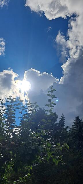 Wolken in ihren ständig verändernden Formen und Farben schaffen ein faszinierendes Schauspiel. Danke für die Einsendung aus Kirchberg. | Foto: Traude Schöllbauer 