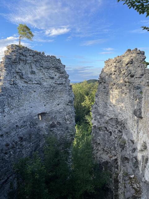 Wandertipp: Ruine Rabenstein 
Für eine kurze Wanderung am Abend das perfekte Ziel. | Foto: Martina Schweller