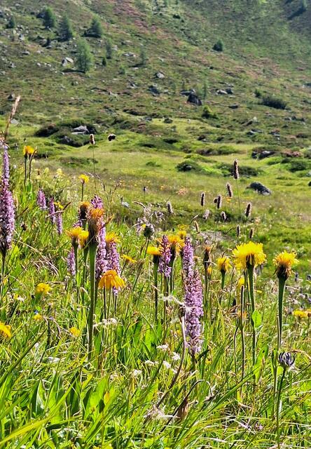 Gubener Hütte/Ötztal  | Foto: Konrad K. 