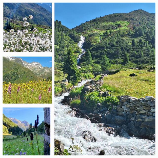 GUTEN MORGEN IM HORLACHTAL!
(Ötztal ) | Foto: Konrad K. 