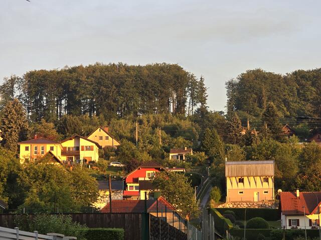 Nach dem kurzen Gewitter herrschte am Abend ideales Fotolicht in Eichgraben 
