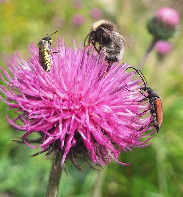 Reger Verkehr! | Foto: Konrad K. 