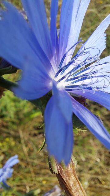 Erstrahlen | Foto: Lydia Ruckensteiner