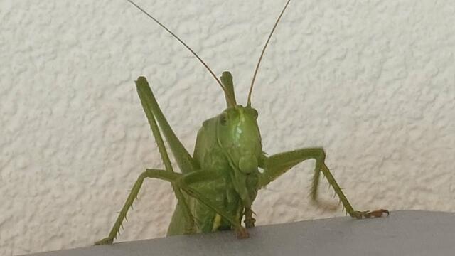 Alles ok hier? | Foto: Lydia Ruckensteiner