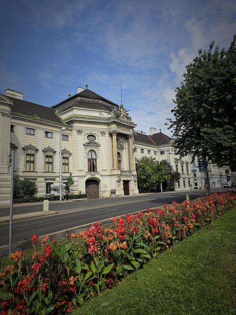 Eines von vielen interessanten Palais in Wien 