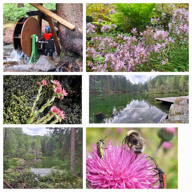 Am Winkelbergsee im Ötztal! Da isch es bei dia Temperaturen soooo fein! | Foto: Konrad K. 