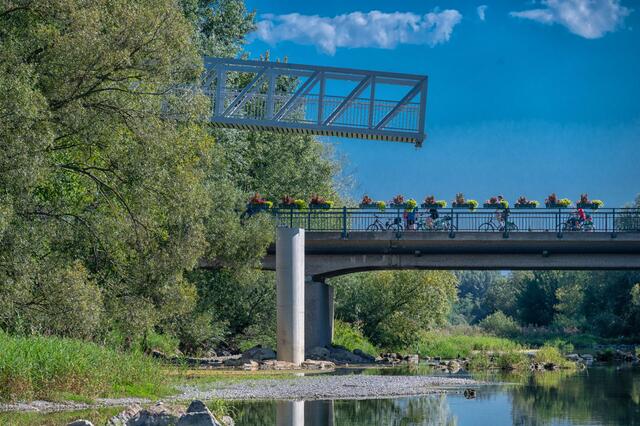 Radbrücke Traismauer bei ihrer Landung am 31. Juli 2024 | Foto: Ernst REISCHAUER