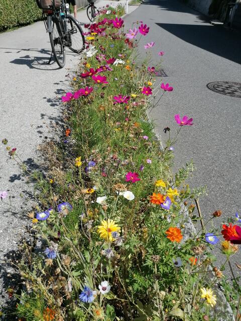 Fahrrad Begleitstreifen 