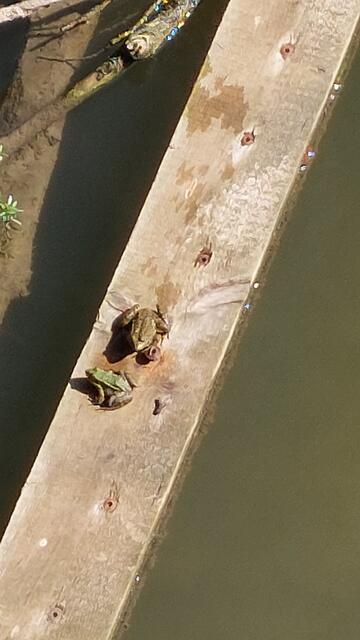 "Dating-Plattform" :) | Foto: Lydia Ruckensteiner