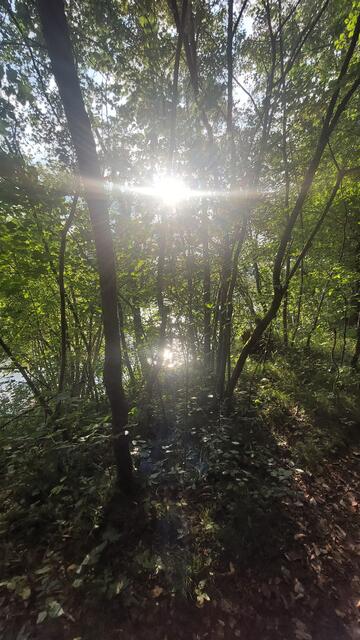 Fang das Licht | Foto: Lydia Ruckensteiner