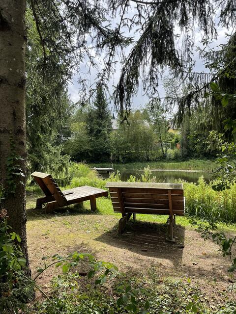 Pure Idylle am Teich von Innermanzing. | Foto: Lauren Seywald