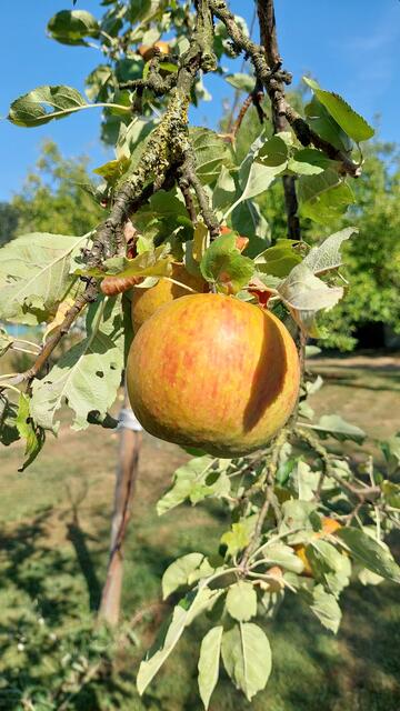 Reichtum  | Foto: Lydia Ruckensteiner
