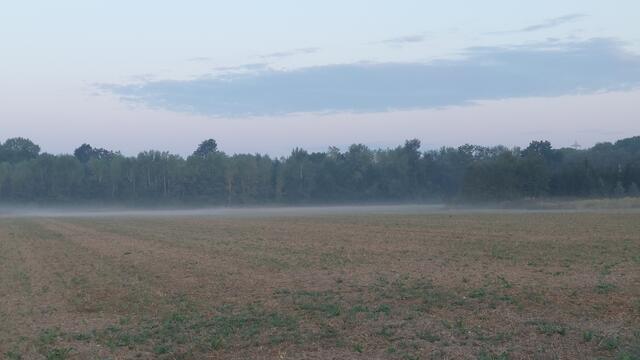 September  | Foto: Lydia Ruckensteiner