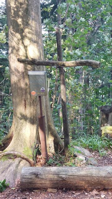 Sonnstein | Foto: Lydia Ruckensteiner