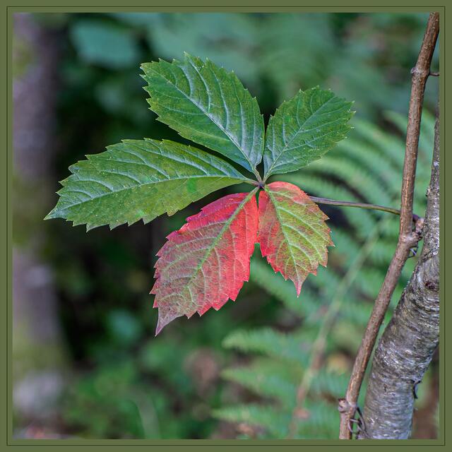 der Anfang ist gemacht.