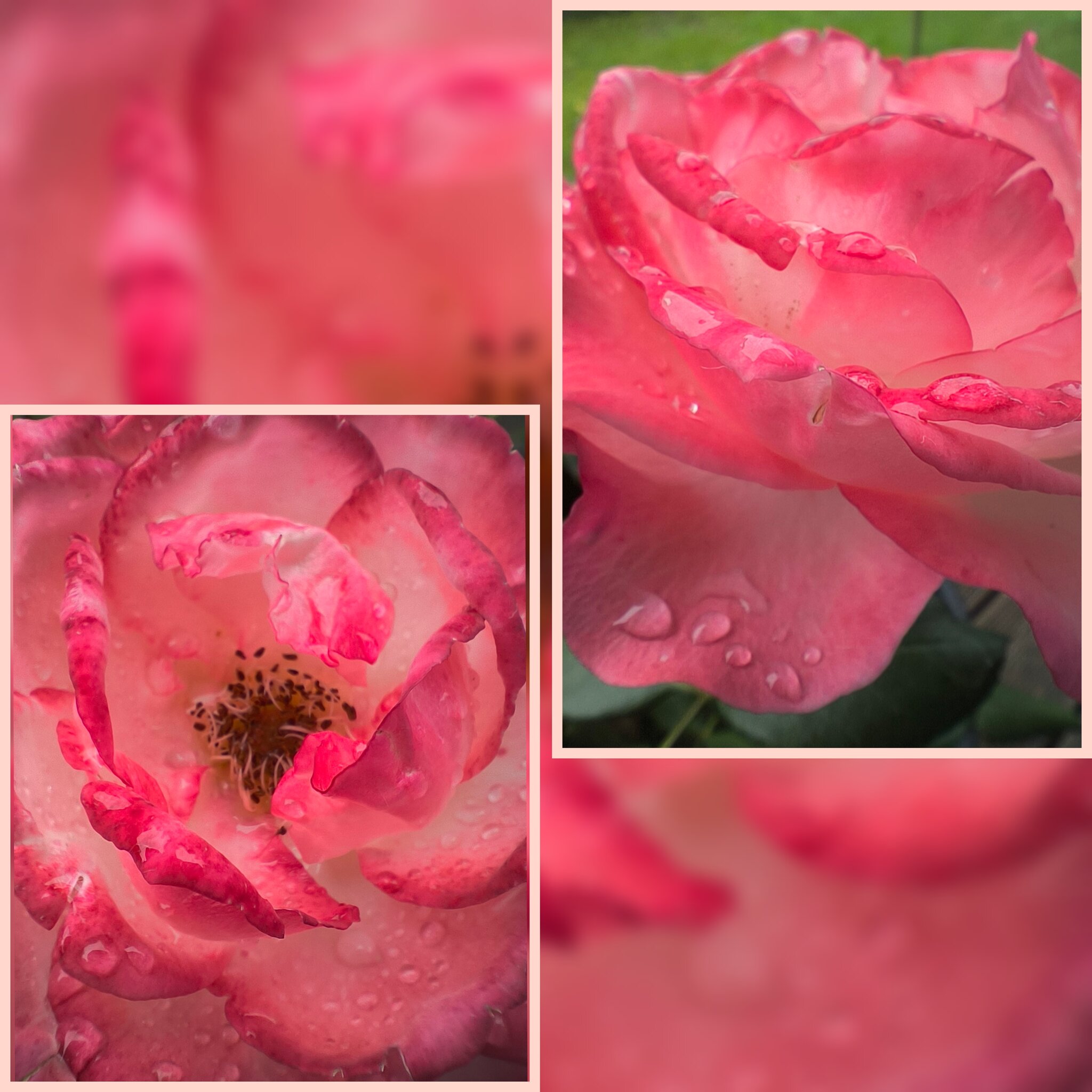 Lernen Im Regen Zu Tanzen Es geht im Leben nicht darum zu warten, dass das Unwetter vorbei zieht