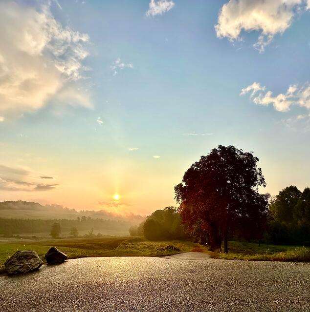 Septembermorgen

Im Nebel ruhet noch die Welt,
Noch träumen Wald und Wiesen:
Bald siehst du, wenn der Schleier fällt,
Den blauen Himmel unverstellt,
Herbstkräftig die gedämpfte Welt
In warmem Golde fließen.
(Eduard Mörike) 

