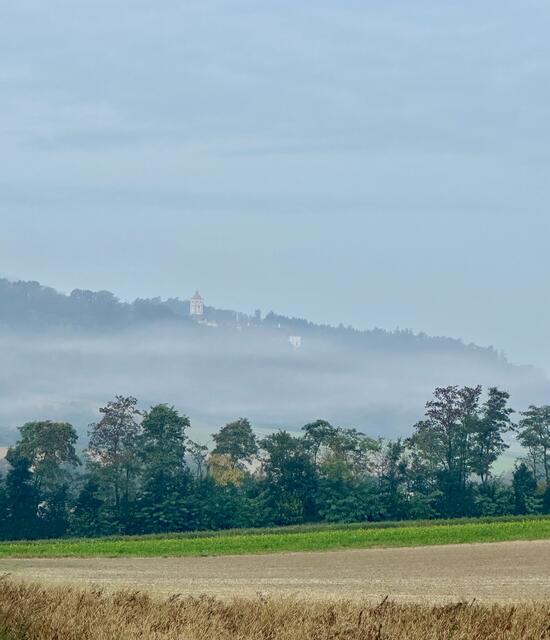 Die Schallaburg vom Nebel umhüllt