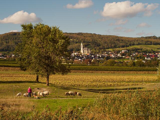 Kleinhöflein bei Eisenstadt.