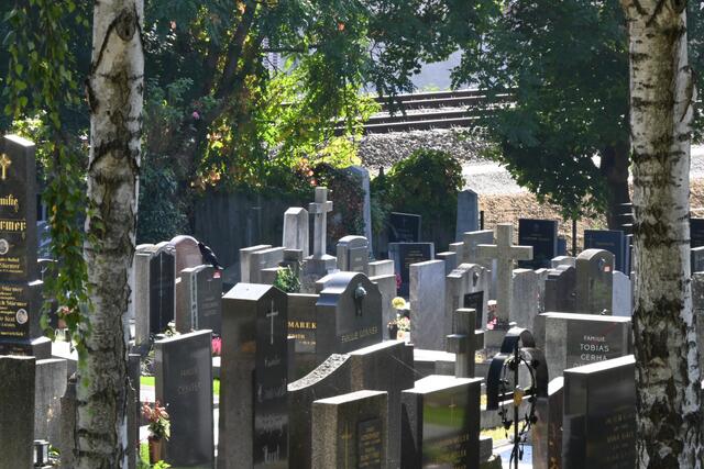 Auch am Friedhof Hernals werden Wiener:innen nicht allein sein, wenn sie zu Allerheiligen ihrer Verstorbenen gedenken. Hier hat sich eine Krähe vor die Linse geschlichen und hält die Aufsicht über die Gräber. Findest du sie? 

Dieses Rätselbild steht in einer Reihe zur Einstimmung auf Allerheiligen. Auf den Bildern sind Tiere zu finden, die auf Wiener Friedhöfen leben.

Die Lösung gibt es am Ende der Woche gemeinsam mit allen restlichen Rätselbildern. 
 | Foto: Zuzana Kobesova 2024