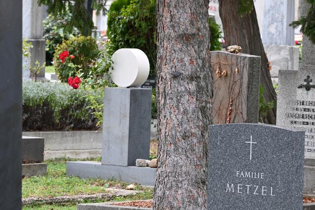 Ein wendiger Kletterer - der Kleiber - fühlt sich auf den meisten Friedhöfen Wiens wohl. Mir ist er in Gersthof vor die Linse gekommen und zugegeben, so leicht konnte ich ihn selbst nicht erkennen. Findest du ihn? 

Die Lösung gibt es am Ende der Woche gemeinsam mit allen restlichen Rätselbildern.  | Foto: Zuzana Kobesova 2024